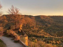 IMG_7619