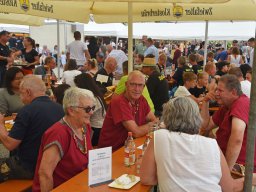 Festumzug